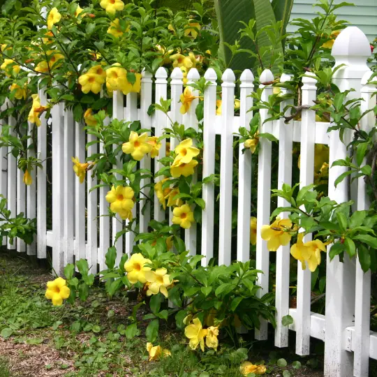 lincolnwood il fence chicagoland fence pros