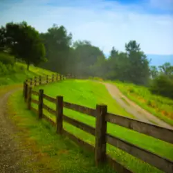 wood fence libertyville il chicagoland fence pros.webp