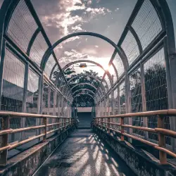 wood fence tinley park il chicagoland fence pros.webp