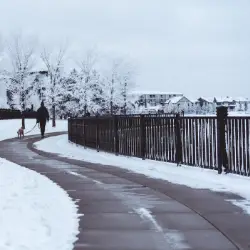 wood fence wood dale il chicagoland fence pros.webp